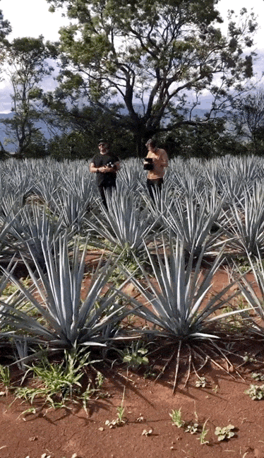 Tyler in Mexico