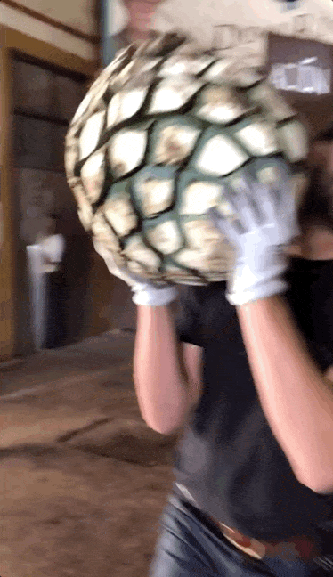 Tyler in Mexico